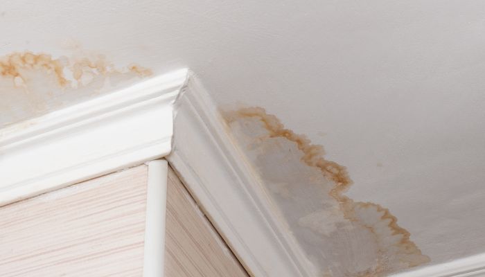 Fort Myers Water Damage